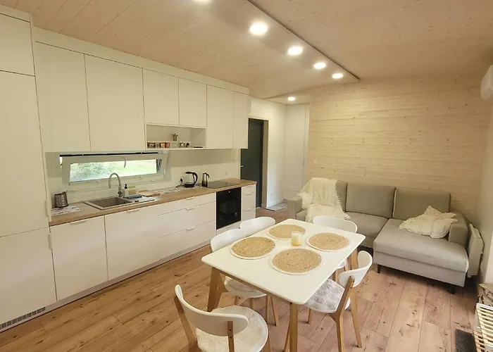 假日公园 Wioslem W Hamaku Nad Wkra Rybitwy (Plonsk)